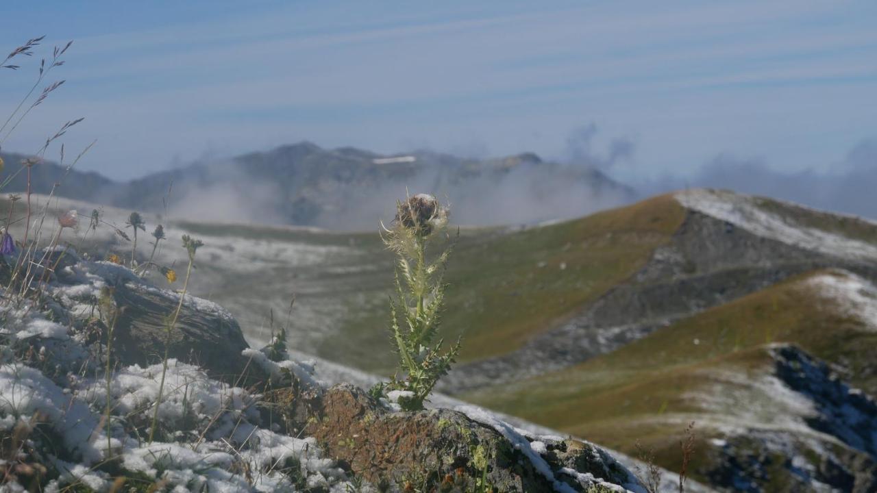 Le Prince Des Cimes Lägenhet Les Arcs  Exteriör bild